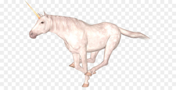 Unicorn Frappuccino Legendary creature Faculty of Informatics and Information Technologies Qilin - Unicorn PNG 