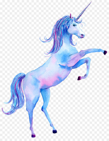 Unicorn HD Wallpapers Desktop Wallpaper 1080p Display resolution - unicorn 