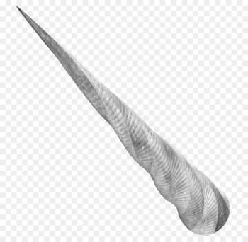 Unicorn horn Unicorn horn