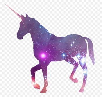 Unicorn horn Fairy tale - unicorn Unicorn horn Fairy tale - unicorn