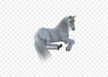 Unicorn Horse - unicorn Unicorn Horse - unicorn