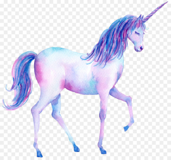 Unicorn Watercolor painting Poster Illustration - Hand painted watercolor unicorn 