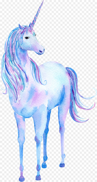 Unicorn Watercolor painting Poster - Unicorn cartoon animal Unicorn Watercolor painting Poster - Unicorn cartoon animal