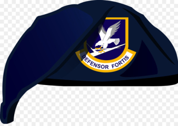 United States Air Force Security Forces Military Special Forces - Eagle Security Logo 