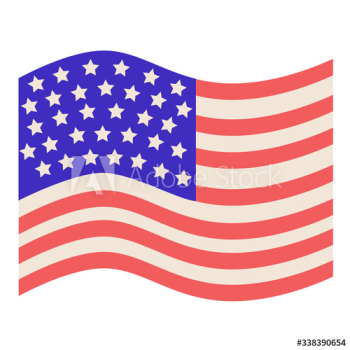 United States Flag United States Flag