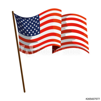united states of america flag united states of america flag