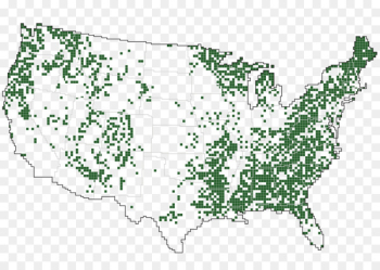 United States Of America, Map, Land, Green PNG United States Of America, Map, Land, Green PNG