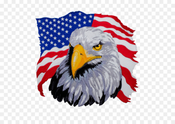 United States T-shirt Bald Eagle Hoodie - american United States T-shirt Bald Eagle Hoodie - american