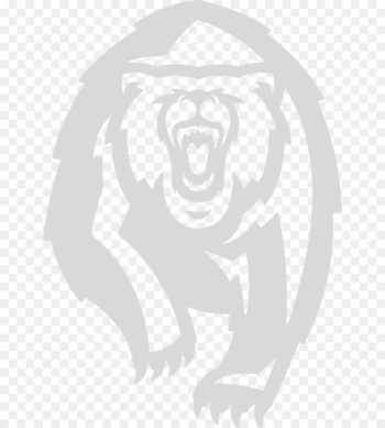 University of California, Berkeley California Golden Bears women's basketball California Golden Bears football California Golden Bears women's volleyball - others 