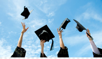 University of Florida College Academic degree Bachelor's degree Major - Graduated 