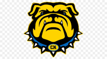 University of Georgia Georgia Bulldogs football Georgia Bulldogs baseball Georgia Bulldogs men's basketball Uga - aup illustration 