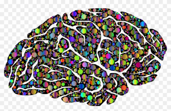 University Of Rochester School Of Medicine And Dentistry - Mind Full University Of Rochester School Of Medicine And Dentistry - Mind Full