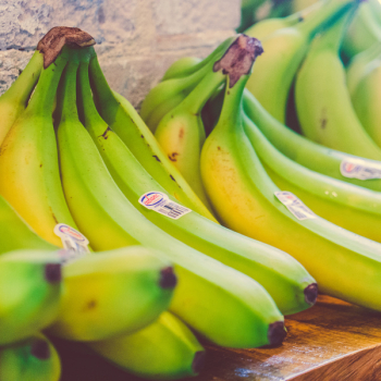 Unripe Bananas Unripe Bananas