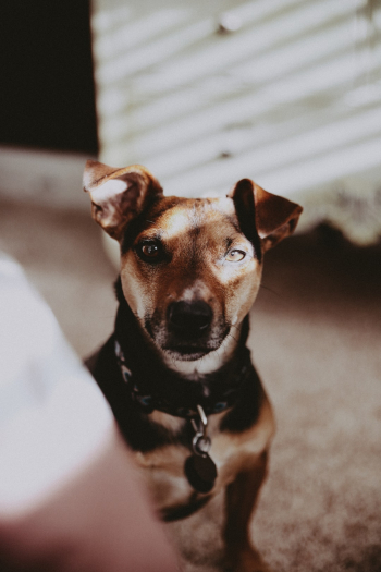 Unsplash ID 13JMpnyS7Ls Unsplash ID 13JMpnyS7Ls