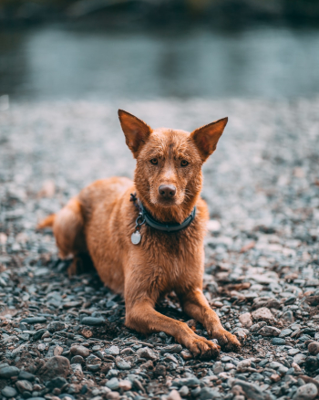 Unsplash ID 1EmRxc-hdcc Unsplash ID 1EmRxc-hdcc