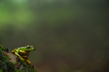Unsplash ID 3HDao9OoFuw Unsplash ID 3HDao9OoFuw
