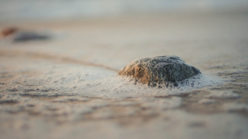 Unsplash ID 5kYM0fCFE-Q Unsplash ID 5kYM0fCFE-Q