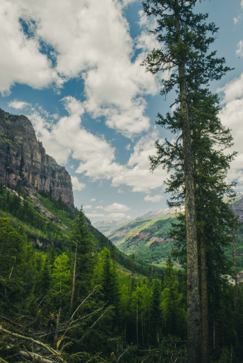 Unsplash ID 7hqyjZXU7IQ Unsplash ID 7hqyjZXU7IQ