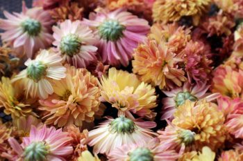 Unsplash ID 908CphGYrK0 Unsplash ID 908CphGYrK0