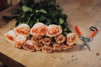 Unsplash ID cC2mROq0Vo0 Unsplash ID cC2mROq0Vo0