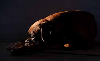 Unsplash ID cudett_zQGM Unsplash ID cudett_zQGM