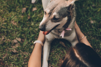 Unsplash ID dTmaDl-mt80 Unsplash ID dTmaDl-mt80