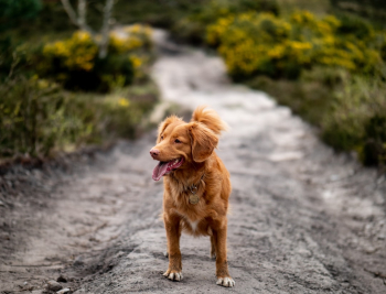 Unsplash ID K2knKiiwow0 Unsplash ID K2knKiiwow0