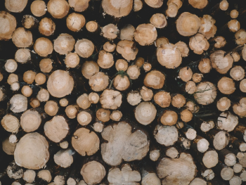 Unsplash ID n2sQQ6XjqfE Unsplash ID n2sQQ6XjqfE