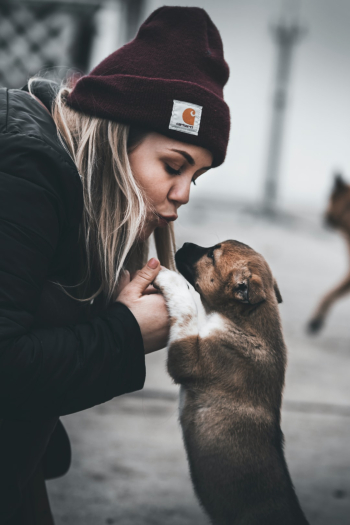 Unsplash ID rFvlfJCKqEU Unsplash ID rFvlfJCKqEU
