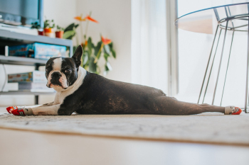 Unsplash ID rXS_Wxt-KL8 Unsplash ID rXS_Wxt-KL8