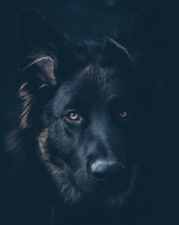 Unsplash ID T7wpzGFawUo Unsplash ID T7wpzGFawUo