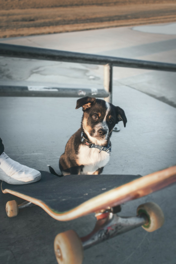 Unsplash ID ubY-igG0jVo Unsplash ID ubY-igG0jVo