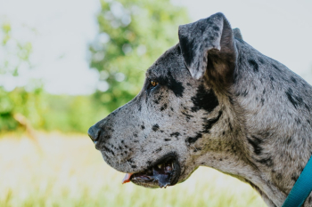 Unsplash ID URezsXiabxY Unsplash ID URezsXiabxY