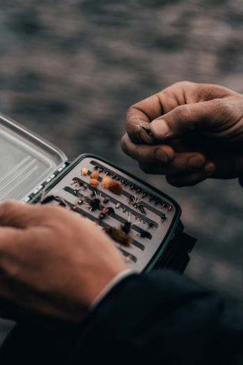 Unsplash ID VsKPYbWiY1U Unsplash ID VsKPYbWiY1U