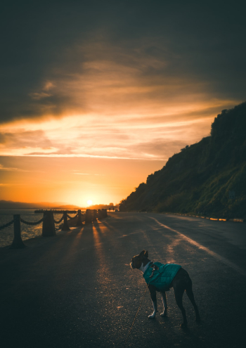 Unsplash ID vvlnYvxTLWw Unsplash ID vvlnYvxTLWw