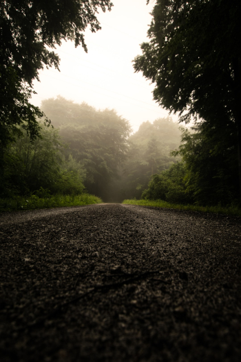 Unsplash ID vwMBY66ED6Y Unsplash ID vwMBY66ED6Y