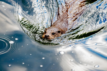 Unsplash ID wbV4wXJ-kcU Unsplash ID wbV4wXJ-kcU