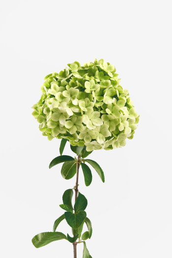 Unsplash ID yOyxMBWReH0 Unsplash ID yOyxMBWReH0