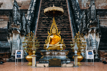 Unsplash ID zmjW_NXVNog Unsplash ID zmjW_NXVNog