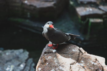 Unsplash ID ZwENX5SK6bU Unsplash ID ZwENX5SK6bU