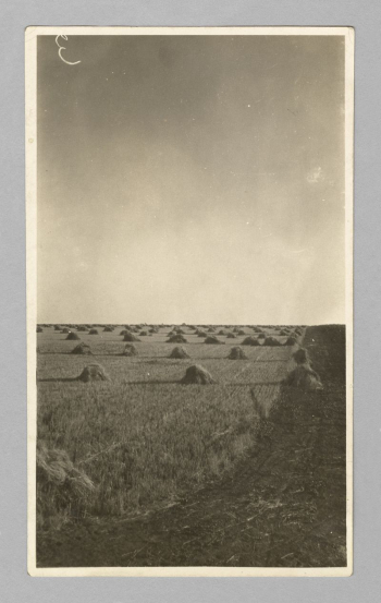 Untitled (wheat fields) | Free Photo - rawpixel Untitled (wheat fields) | Free Photo - rawpixel