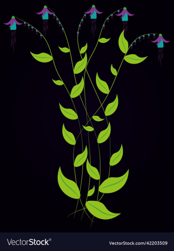 unusual plants with flowers bouquet unusual plants with flowers bouquet