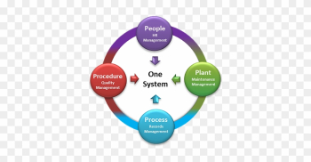 Using 4ps, Your Business Information Is Accessible - People Plant Process Using 4ps, Your Business Information Is Accessible - People Plant Process