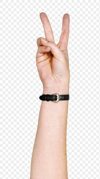 V sign png hand gesture | Free PNG - rawpixel V sign png hand gesture | Free PNG - rawpixel