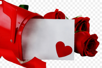 Valentine's day Valentine's day