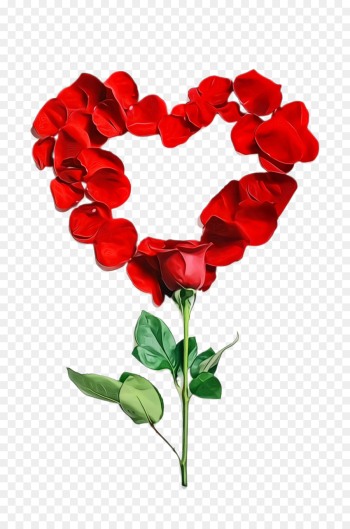 Valentine's day Valentine's day