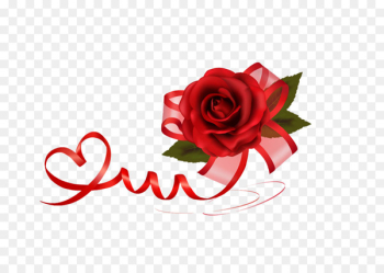 Valentines Day Rose Gift Clip art - Rose Bow Valentines Day Rose Gift Clip art - Rose Bow