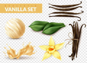 Vanilla realistic set Free Vector Vanilla realistic set Free Vector