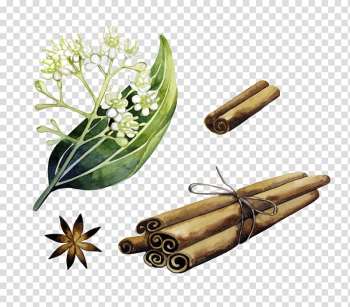 Vanilla sticks illustration, Cinnamon roll Spice Star anise, cinnamon transparent background PNG clipart