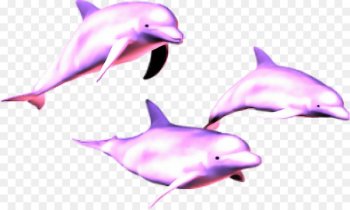 Vaporwave Dolphin Image Portable Network Graphics Clip art - dolphin 